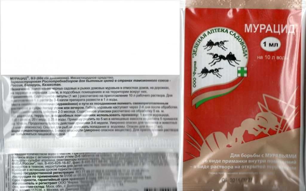 Как навсегда избавиться от муравьев в огороде 14 Мурацид