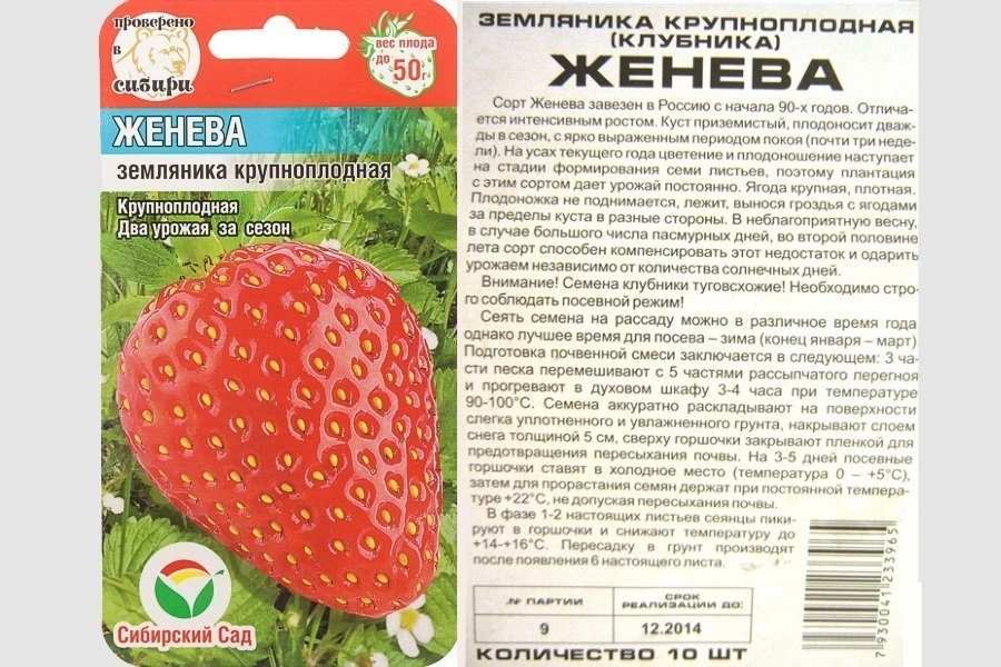 Женева.
