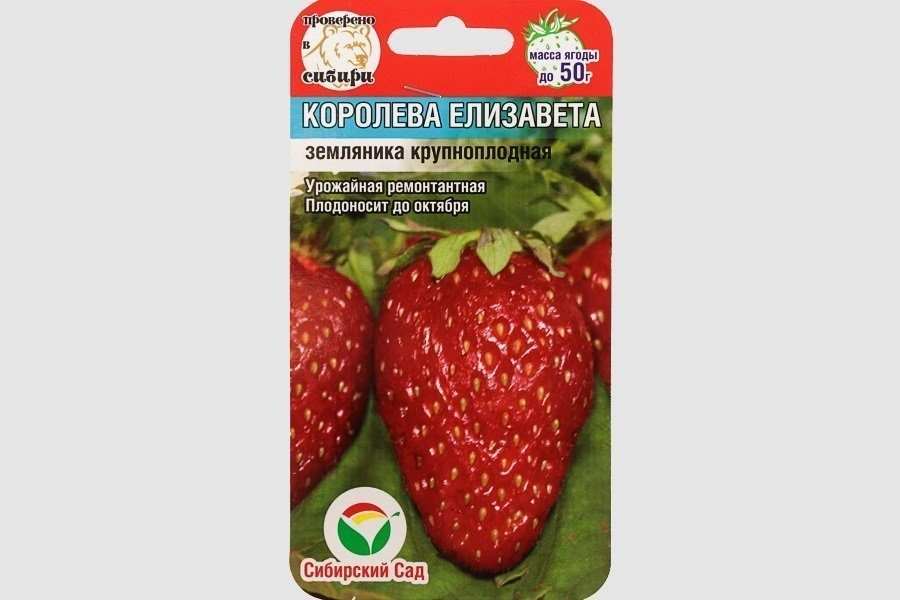 Королева Елизавета Земляничная.