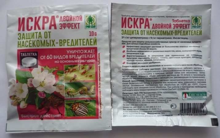 Выращивание малины из семян 21 1 vyrashchivanie maliny iz semyan 4