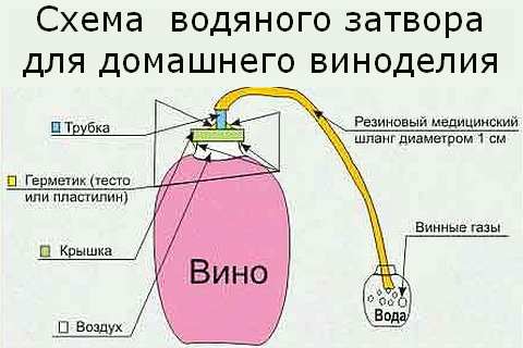 Вкусное домашнее вино своими руками 6 Домашнее вино своими руками, процесс, своими руками, вкусное, давно замечено вкусное домашнее вино