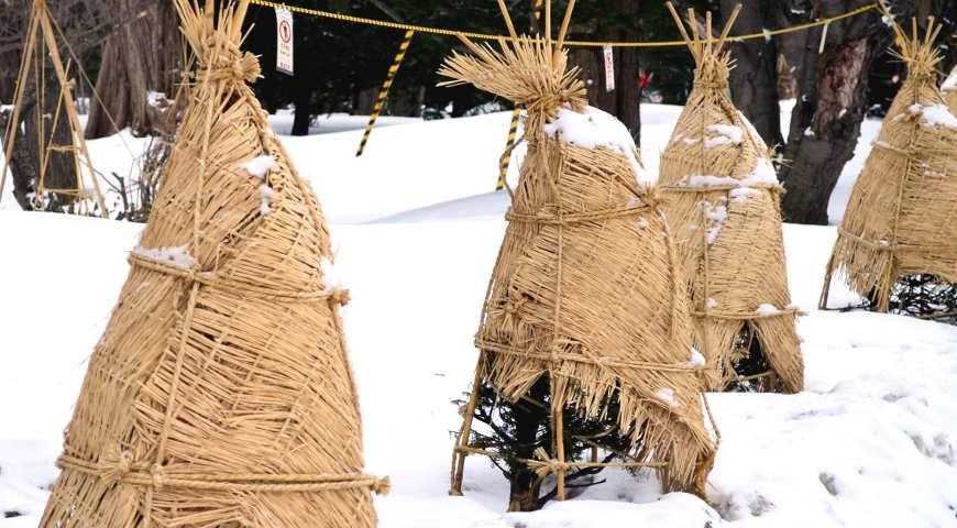 Укрыть растения на зиму