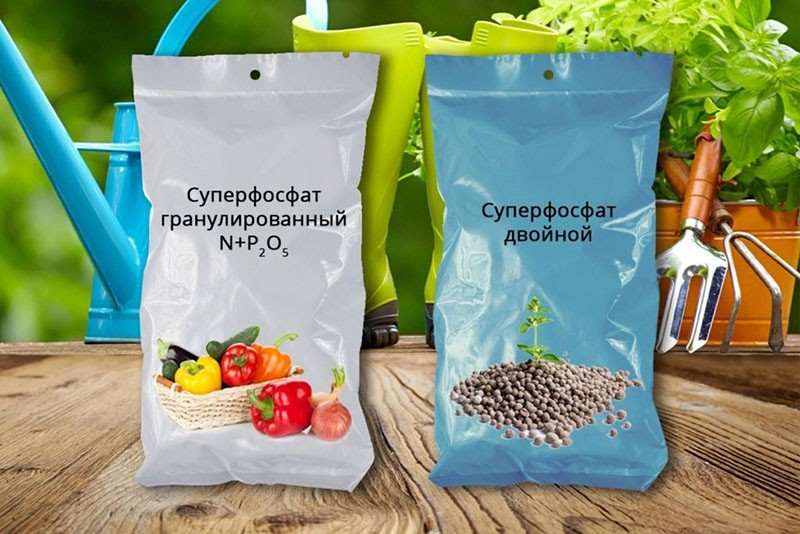 Как использовать двойной суперфосфат в саду и огороде 9 Плюсы и минусы двойного суперфосфата