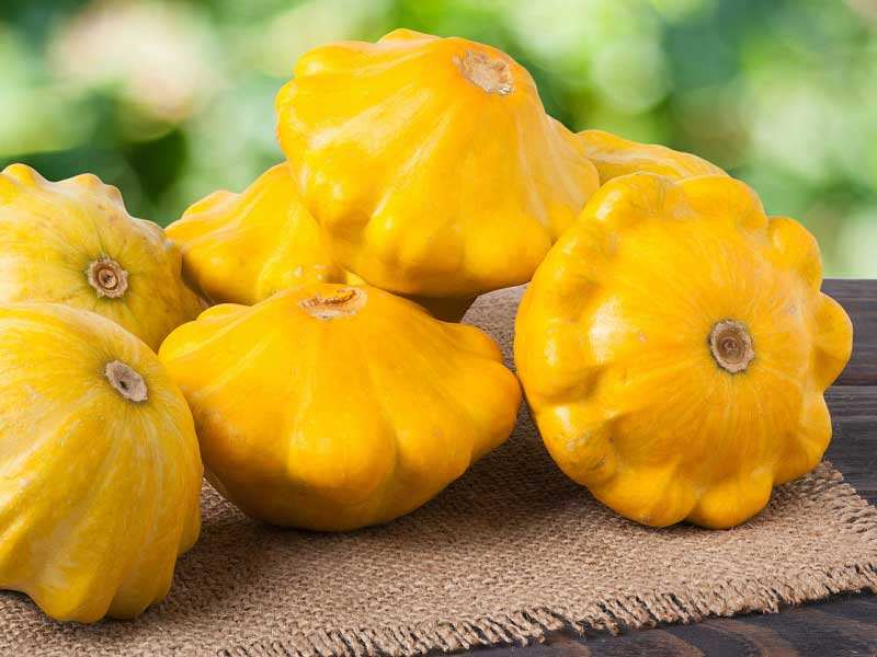 Как правильно выращивать патиссоны из семян 3 4 zheltye i oranzhevye patissony yavlyayutsya istochnikom vitamina a
