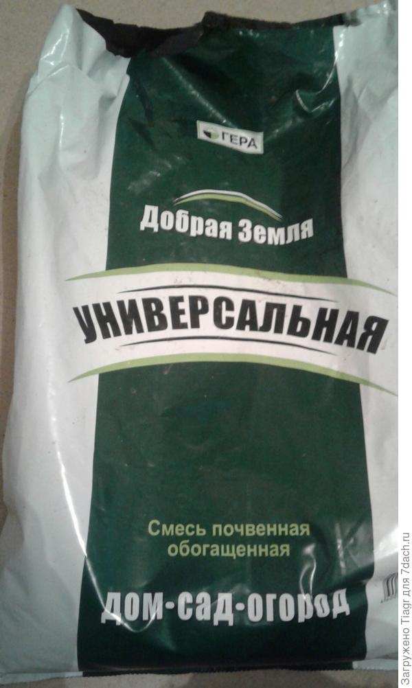 Выращиваю землянику для внучат. От семян до высадки в грунт 4 Хорошая земля