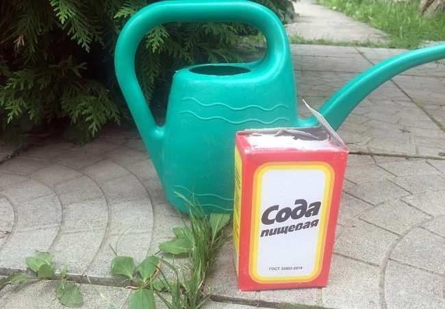 Пищевая сода от сорняков
