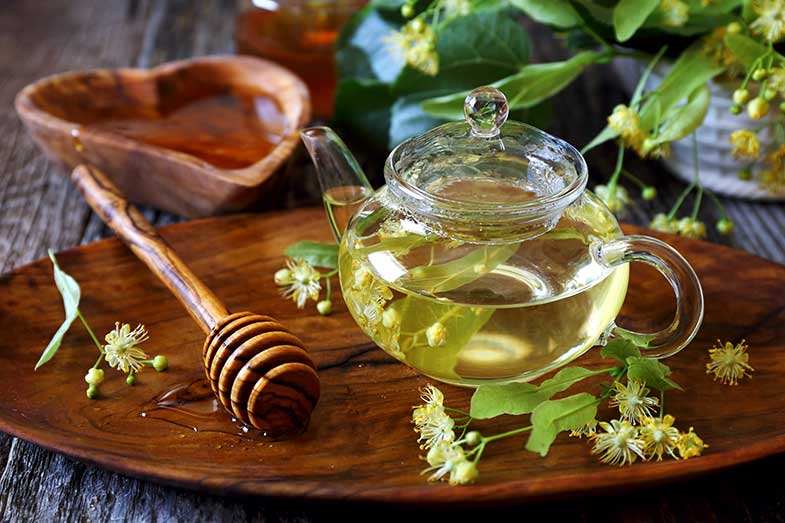 aceite esencial arbol te