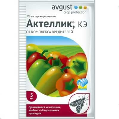 aktellik 4 23205145