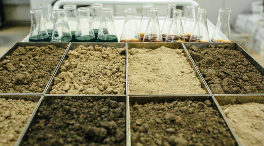 Почва