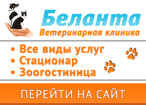 Какие каши подходят для собак 7 banner blog5