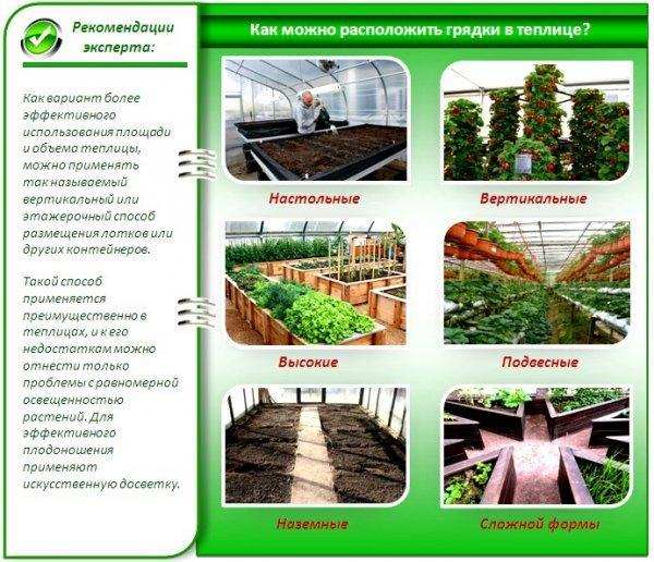 Делаем грядки в теплице правильно: расположение, ширина, высота, фото 9
