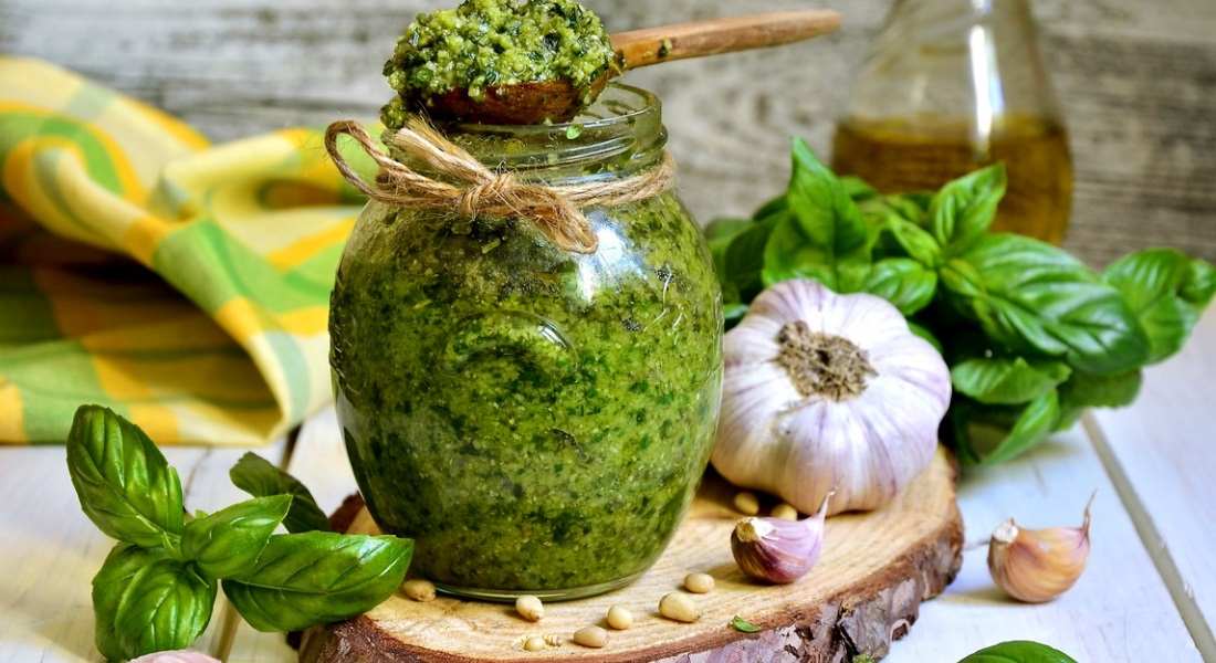 Базилик — выращивание пряно-вкусового растения от А до Я 1 basilic new 3