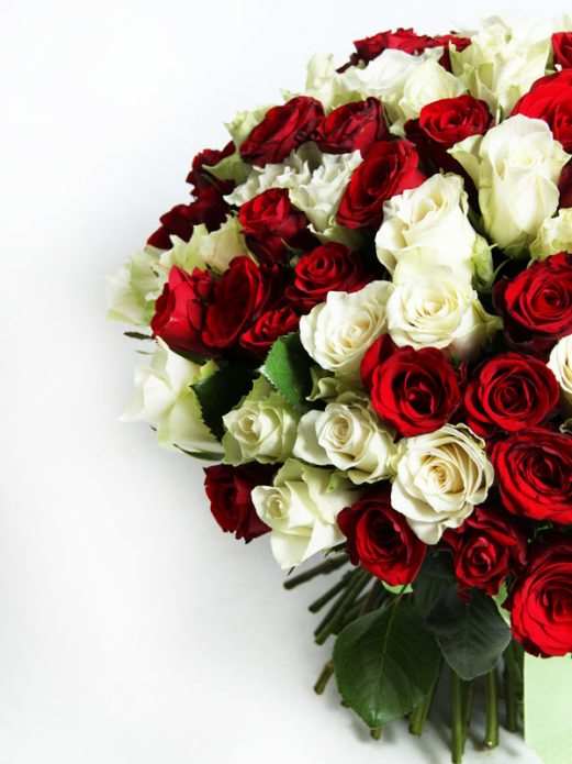 Выращивание саженца из букетной розы: методики черенкования 3 Белые и красные розы