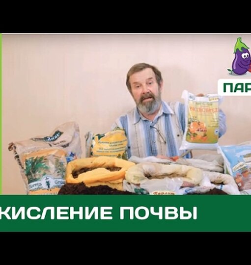 Нажмите для просмотра.