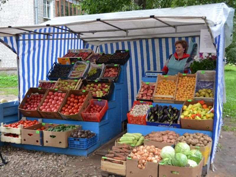 Заработок со своего огорода — 440 000 рублей за сезон. С чего начать свой бизнес? Реальный опыт жительницы села 1 Торговая палатка