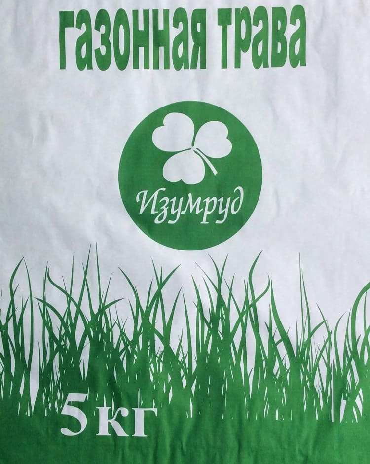 Забьет ли трава для газона нежелательные всходы: низкорослые и другие растения, вытесняющие сорняки 9 FOTO24550-1(4)