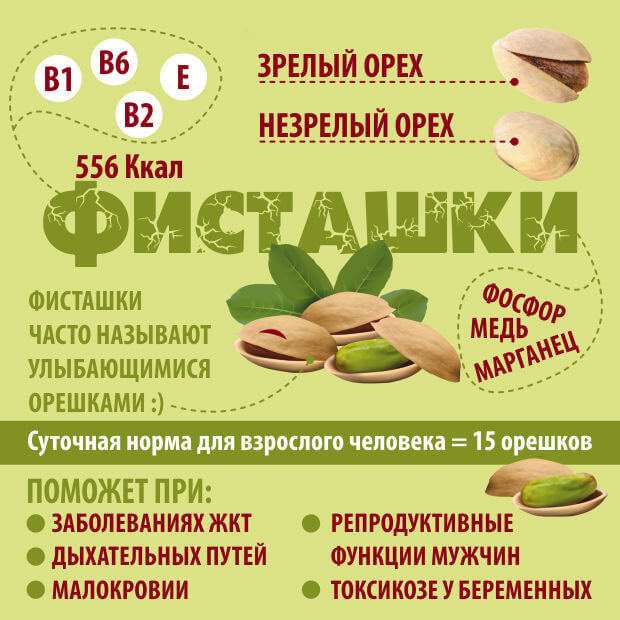 Где и как растут орехи фисташки (40 фото) 31 gde i kak rastut orekhi fistashki foto 31