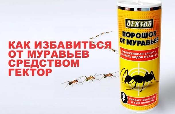 Порошок Гектор от муравьев