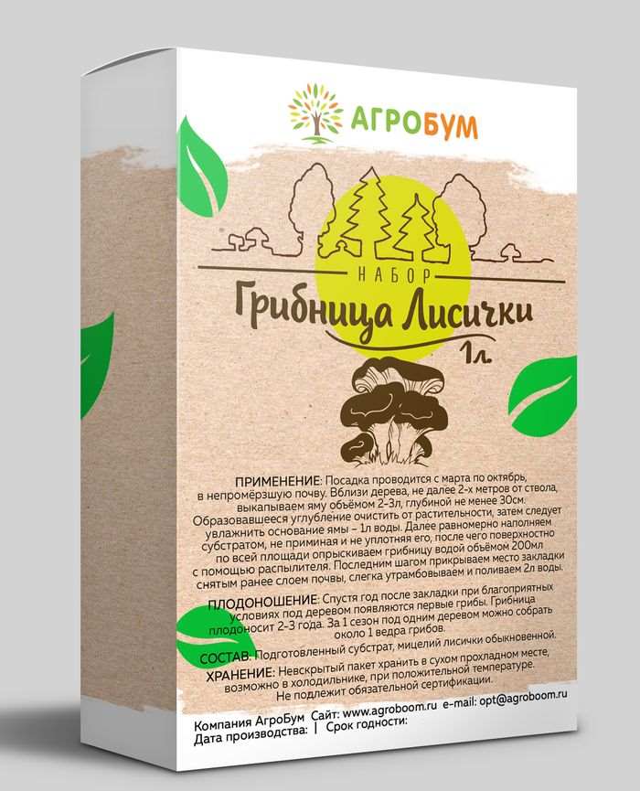 Как вырастить дома грибы: какие виды поддаются культивации, технология подготовки субстрата 2 Повелители лисьих грибов.