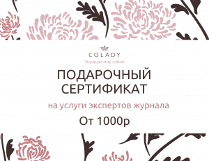 Классные сертификаты