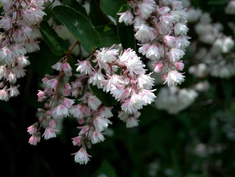 image015 e1541251003504