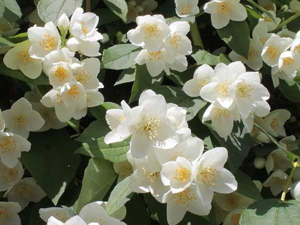 image023 e1541251291697