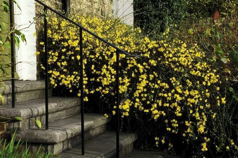 image041 e1541256710946