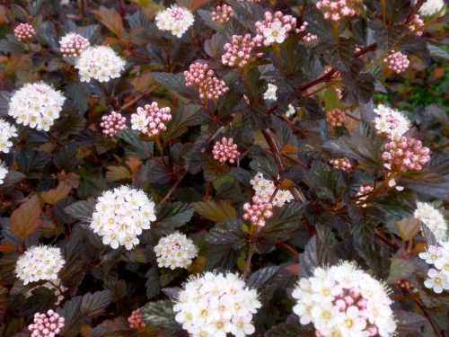 image067 e1541259214923
