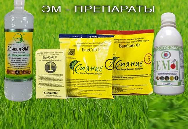 Биозависимость от сорняков