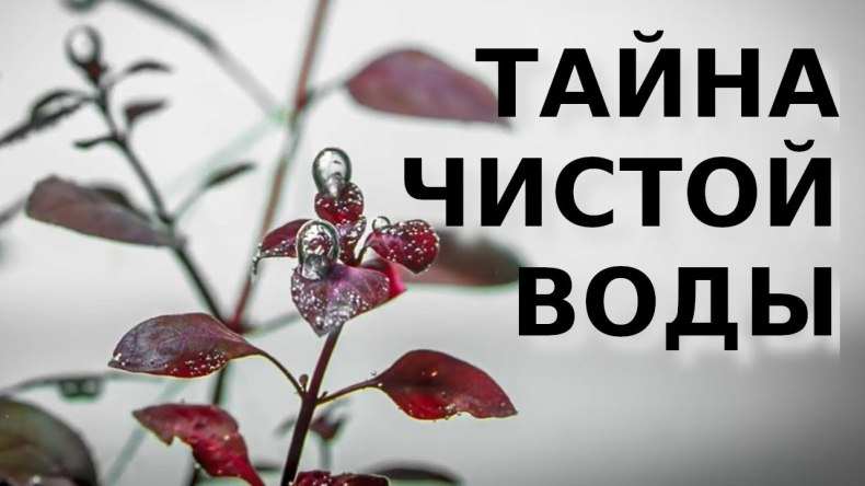 Как часто менять воду в аквариуме с рыбками: советы по частичной или полной замене + периодичность для пресной или морской воды 37 kak chasto menyat vodu v akvariume s rybkami 31