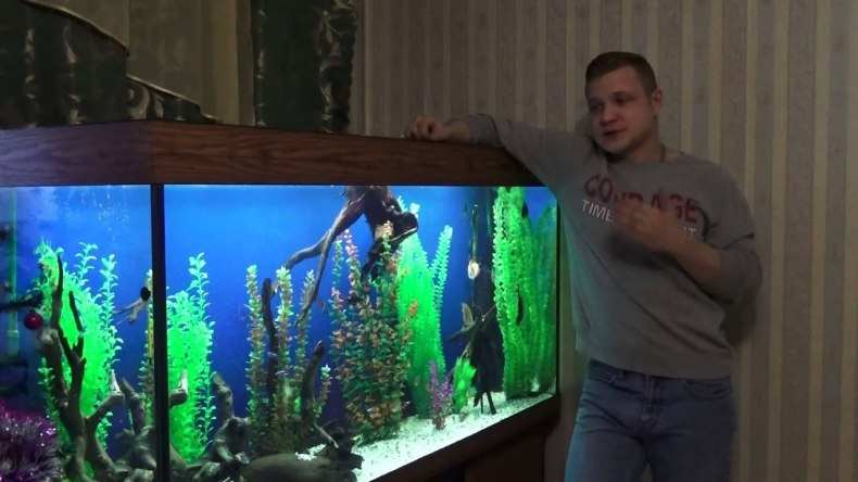 Как часто менять воду в аквариуме с рыбками: советы по частичной или полной замене + периодичность для пресной или морской воды 39 kak chasto menyat vodu v akvariume s rybkami 33