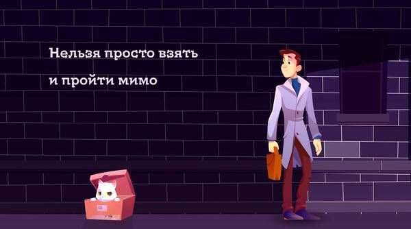 Как помочь бездомному котёнку или щенку 1 Как помочь бездомным котятам и щенкам, найденным на улице.