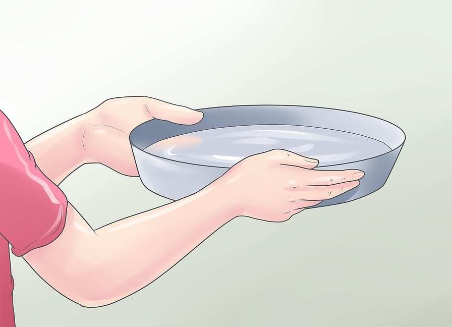 Как прививать растения? 9 Резервуар для воды