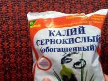 Как размножить гортензию? 24 kak razmnozhit gortenziyu 23