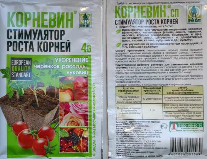 Как размножить гортензию? 27 kak razmnozhit gortenziyu 26