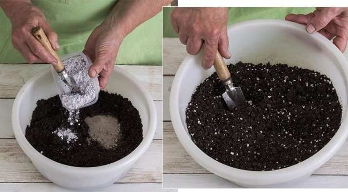 Как сажать капусту? 16 kak sazhat kapustu 10