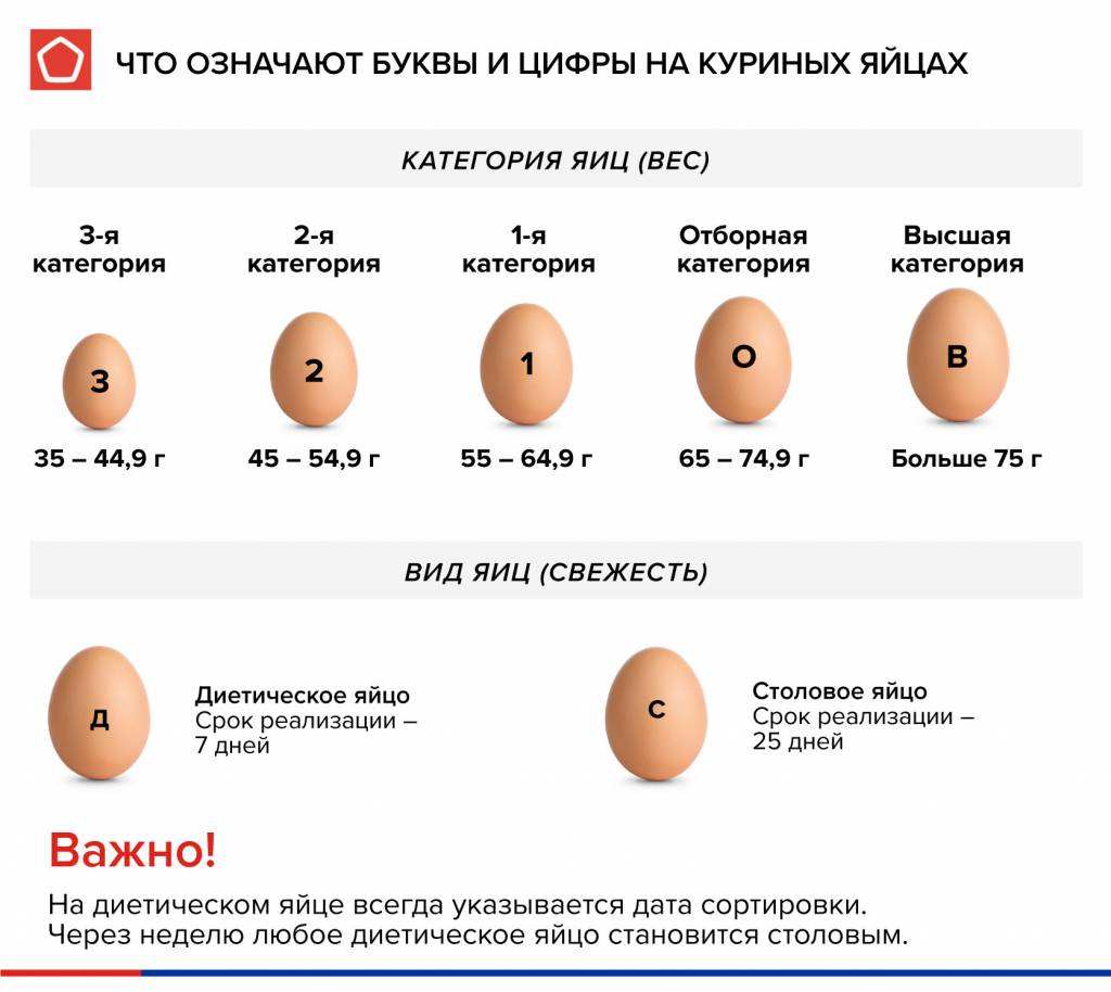 kak vybirat yaytsa