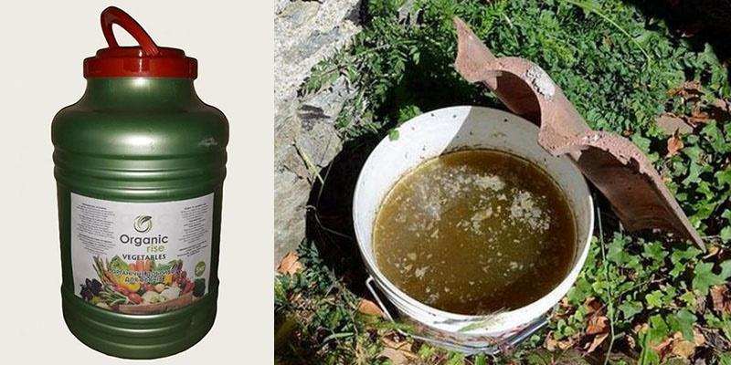 Органическая подкормка для боярышника
