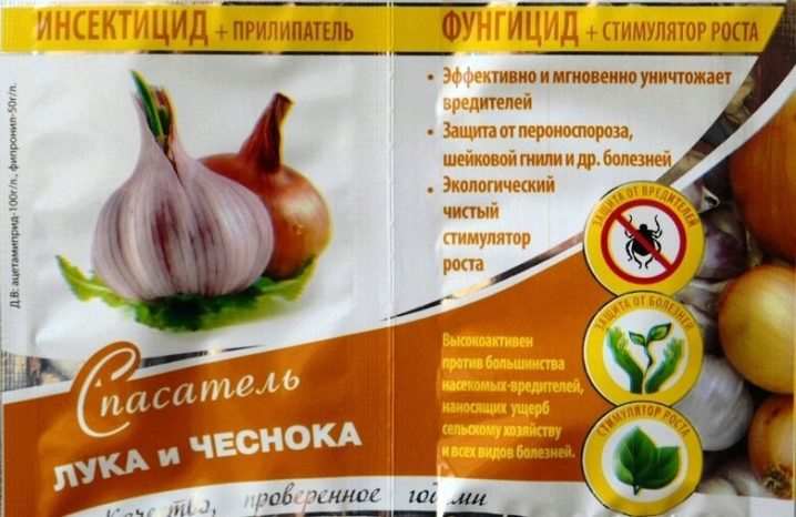 Как вырастить чеснок? 18 kak vyrastit chesnok 15