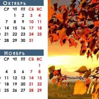 Как вырастить нарциссы в горшке? 9 kak vyrastit narcissy v gorshke 18