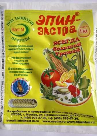 Как вырастить укроп? 14 kak vyrastit ukrop 12