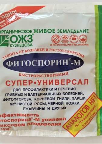 Как вырастить укроп? 15 kak vyrastit ukrop 13