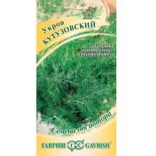 Как вырастить укроп? 7 kak vyrastit ukrop 8