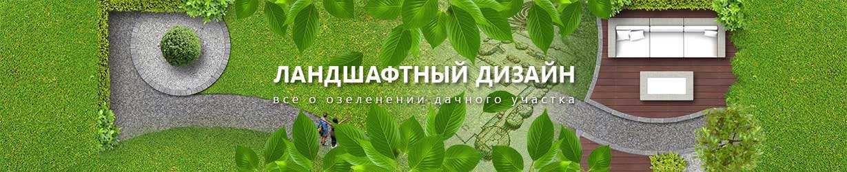 Как обустроить огород на дачном участке: фото как правильно спланировать, полезные советы, красиво с минимальными затратами 1 logdiz