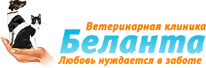 Какие каши подходят для собак 2 Блог Ветклиники
