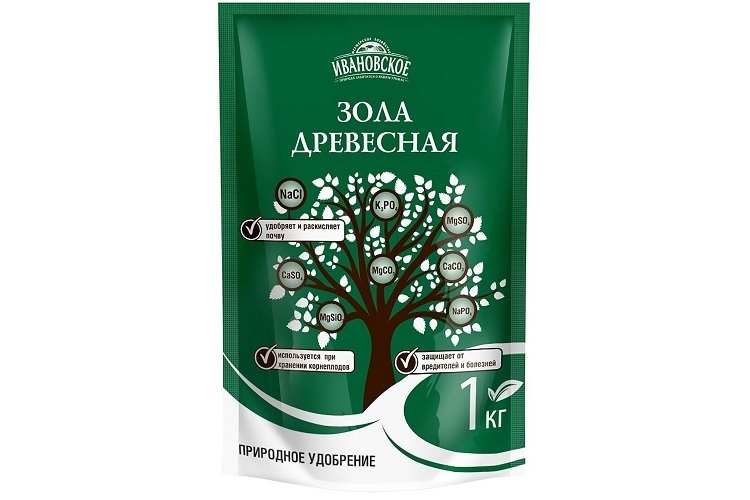 12 лучших способов как избавиться и чем эффективно обработать лук от луковой мухи 8 Древесный ясень