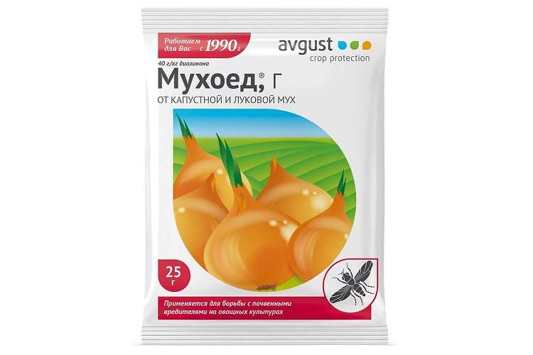 12 лучших способов как избавиться и чем эффективно обработать лук от луковой мухи 11 Мухоловки