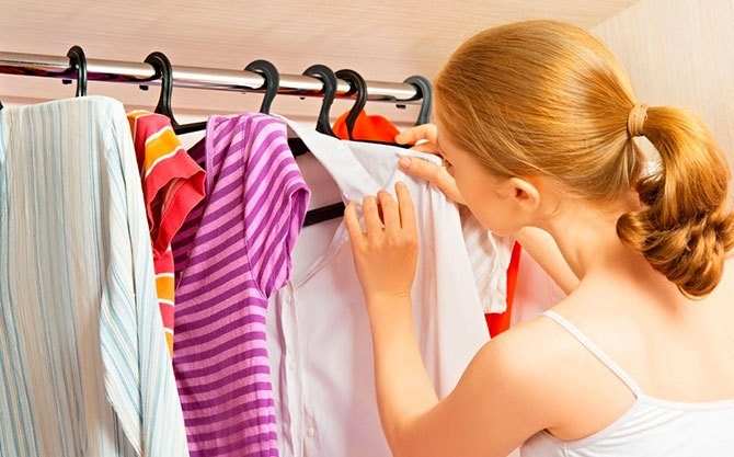 Как избавиться от моли: все действенные способы 9 Насекомые в шкафу