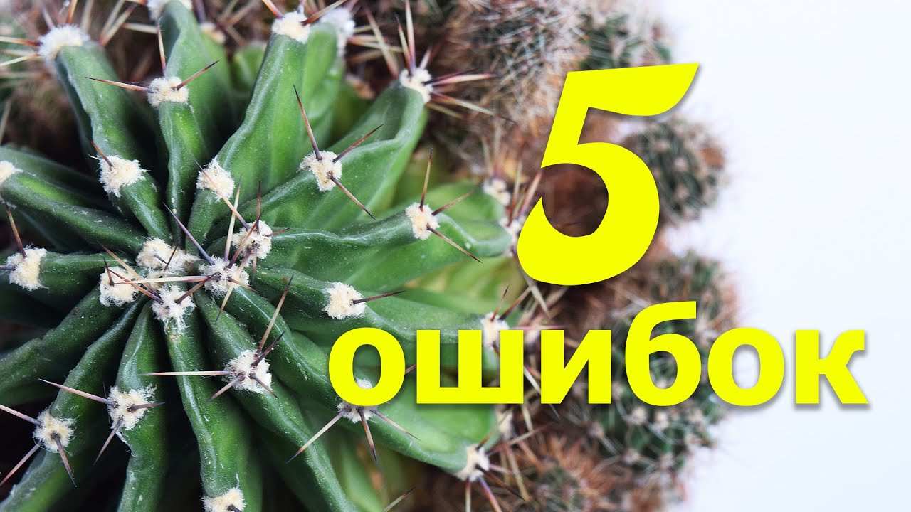 Нажмите, чтобы запустить видео