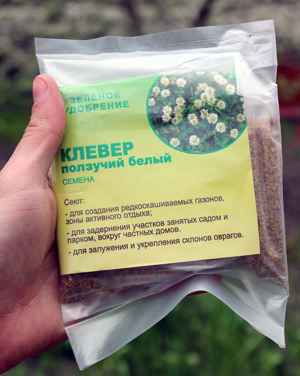 posadka semjan klevera